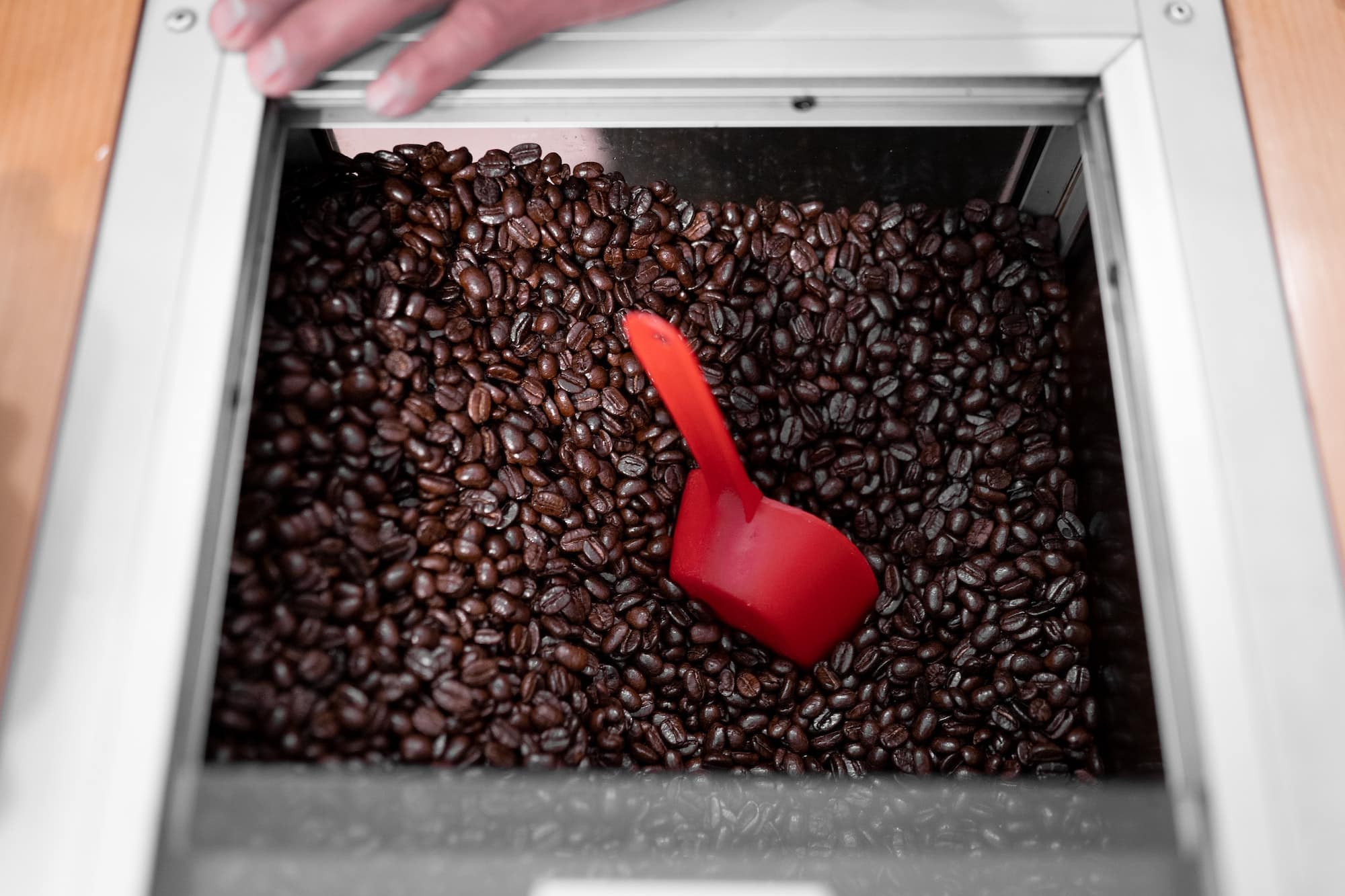 Dark roasted coffee beans storaged inside of a special drawer in a shop